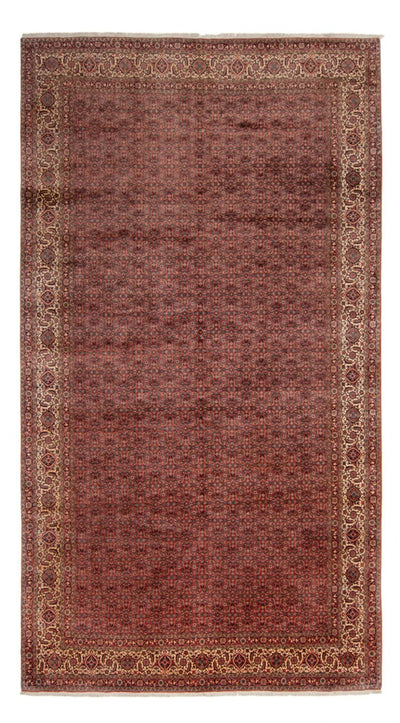 Bidjar - Takab Tapijt 256x482cm - Perzisch tapijt