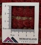 Nepal tapijt - 140 x 70 cm - bruin