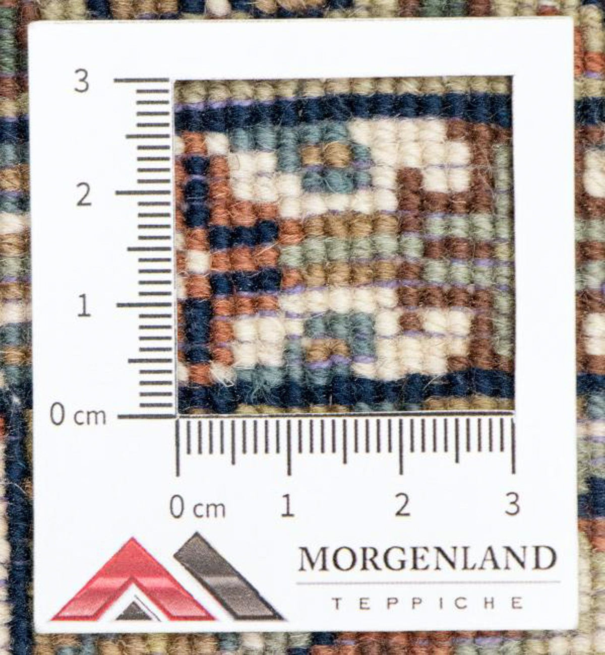 Perzisch Tapijt - Nomadisch - 304 x 209 cm - veelkleurig