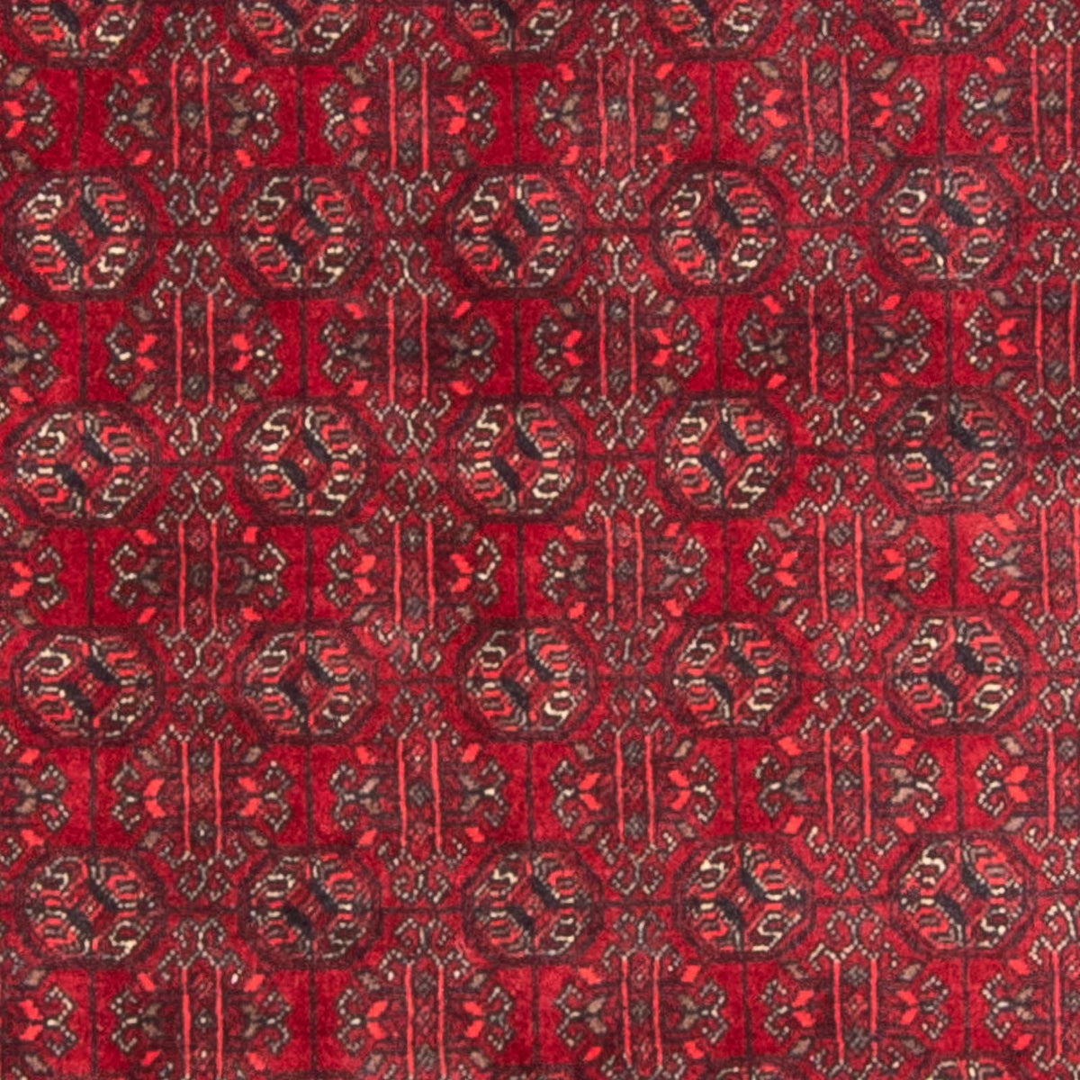 Afghaans tapijt - Bukhara - 196 x 124 cm - rood