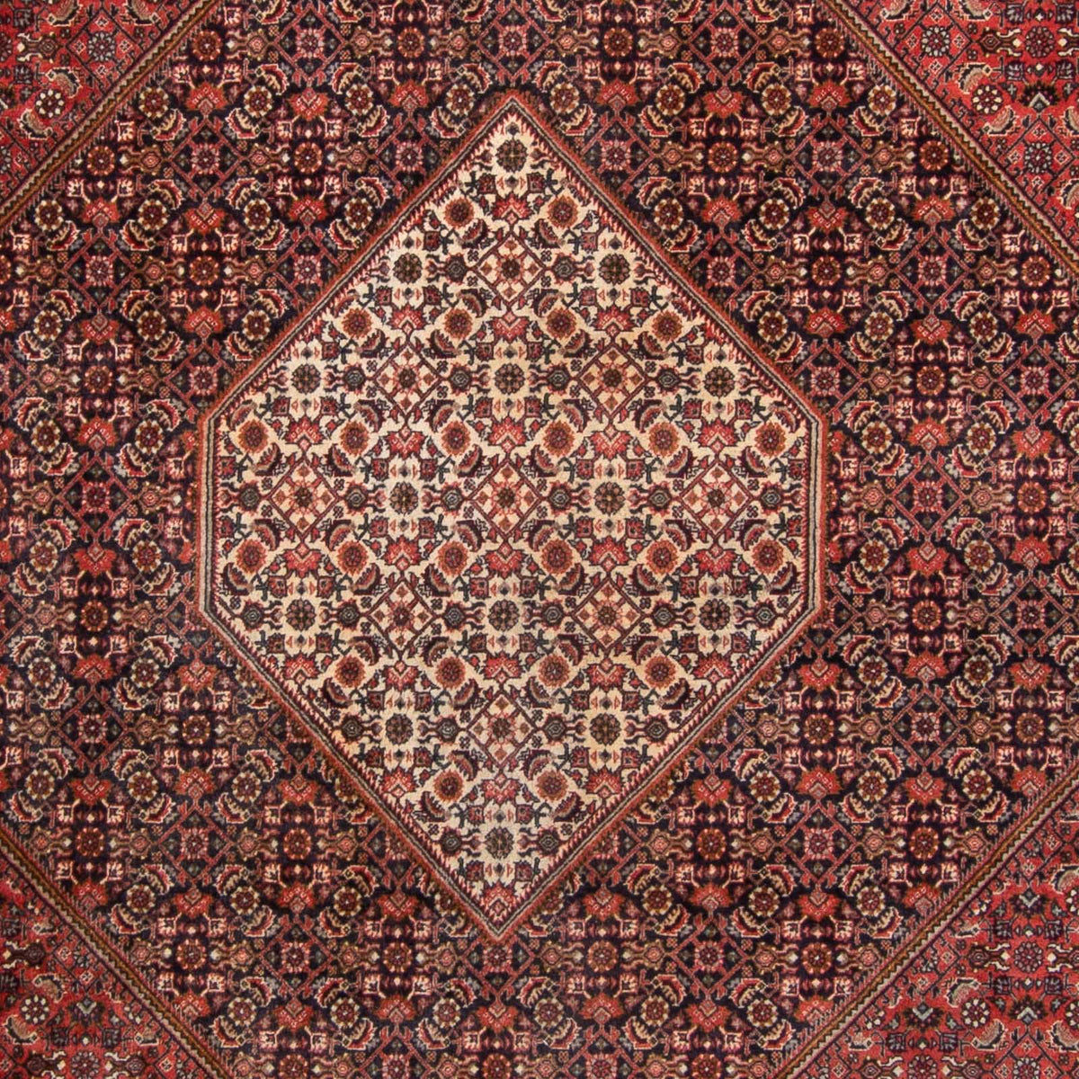 Perzisch tapijt - Bijar - 350 x 250 cm - rood