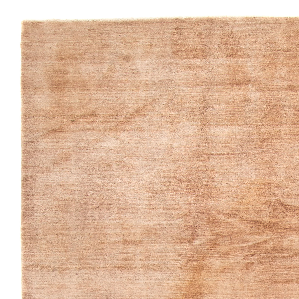 Ziegler tapijt - Modern - 300 x 200 cm - beige