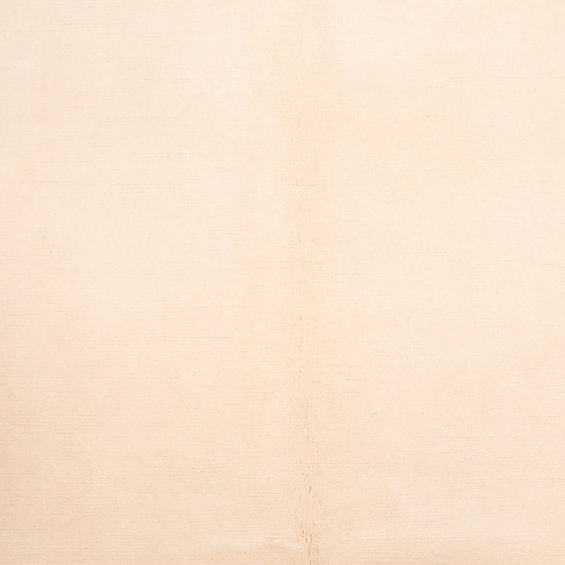 Nepal tapijt - Koninklijke - 238 x 172 cm - beige