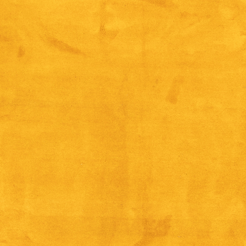 Gabbeh tapijt - Indus - 389 x 300 cm - goud