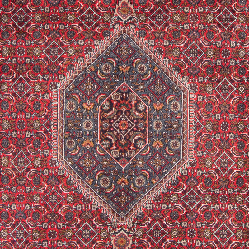 Oosters tapijt - Bijar - Indus - 338 x 251 cm - rood