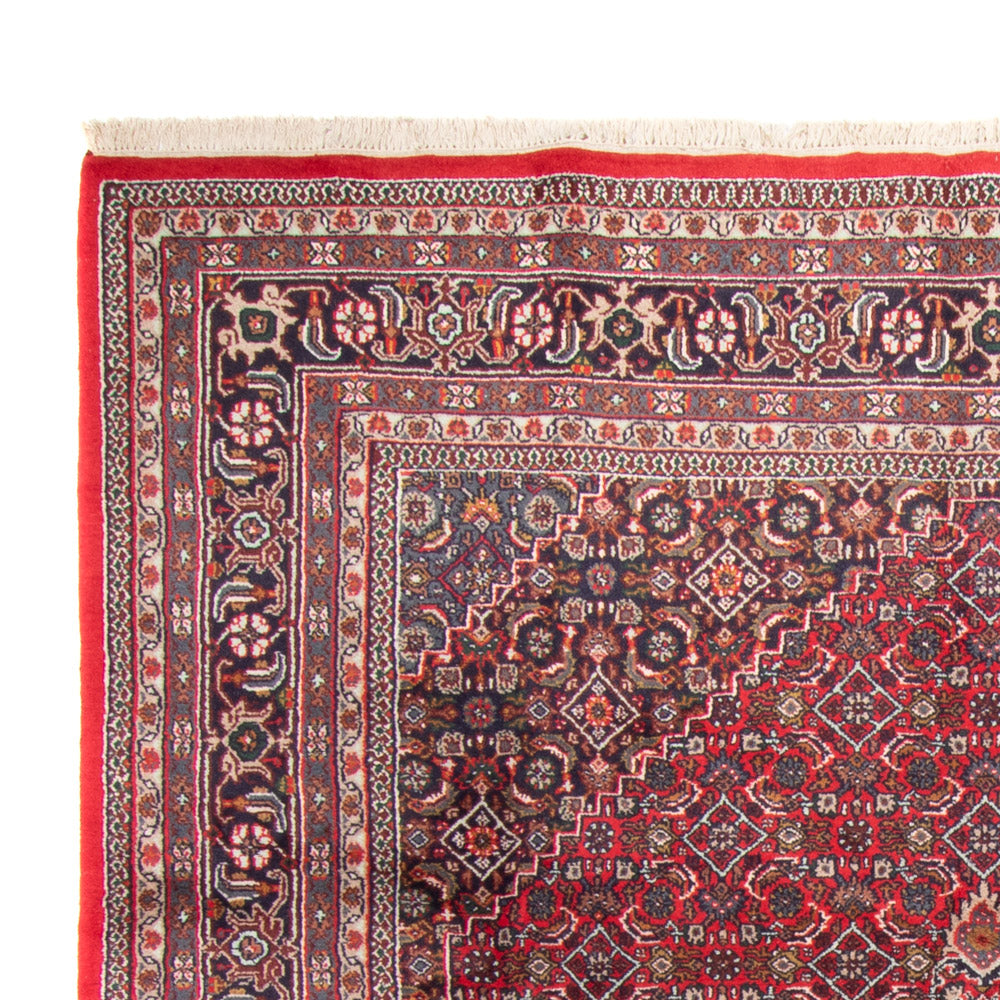 Indo Bidjar Tapijt 251x338cm - Oosters Tapijt