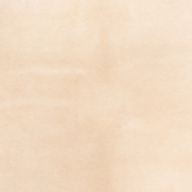 Nepal tapijt - Koninklijke - 240 x 170 cm - beige