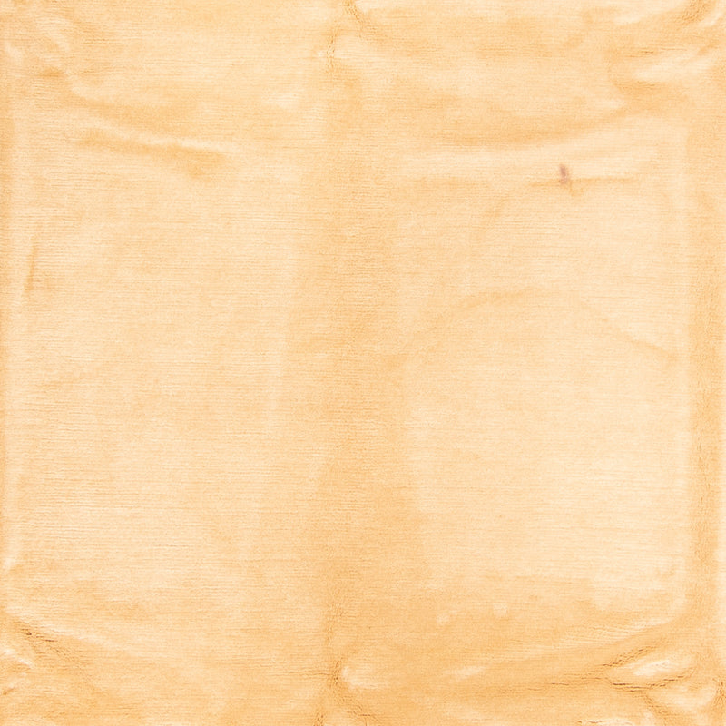 Nepal tapijt - Koninklijke - 350 x 249 cm - goud