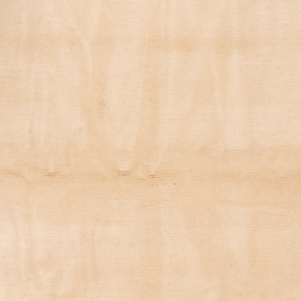 Nepal tapijt - Koninklijke - 340 x 240 cm - beige