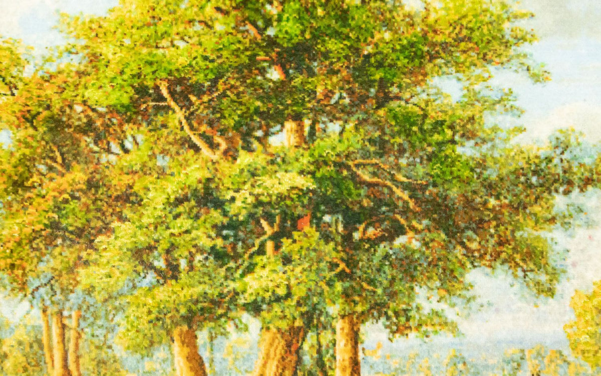 Afbeelding tapijt - 116 x 84 cm - veelkleurig