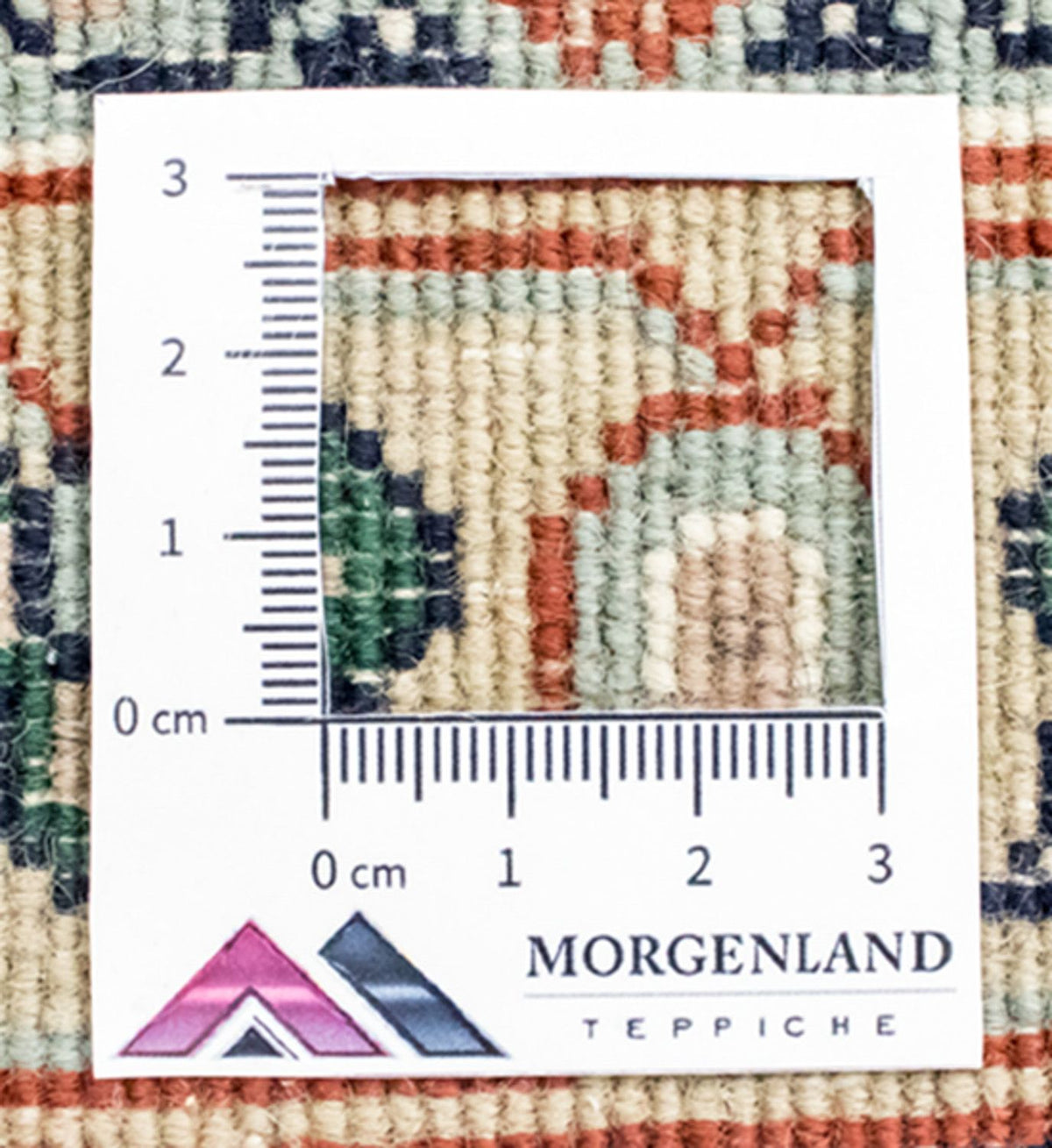 Oosters Tapijt - 305 x 240 cm - beige