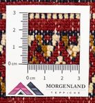 Loper Turkaman tapijt - 100 x 50 cm - rood