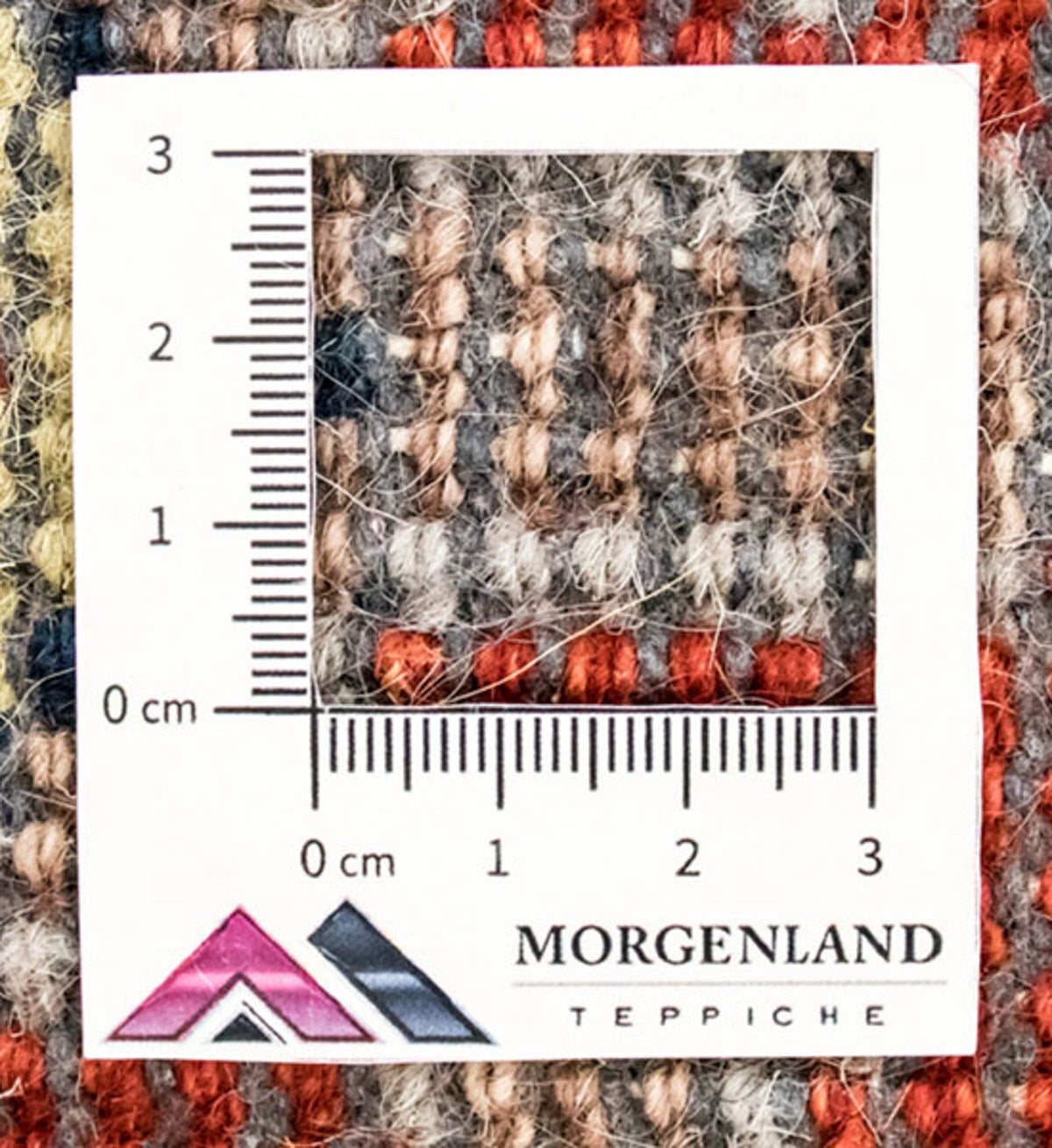 Oosters Tapijt - 296 x 200 cm - beige