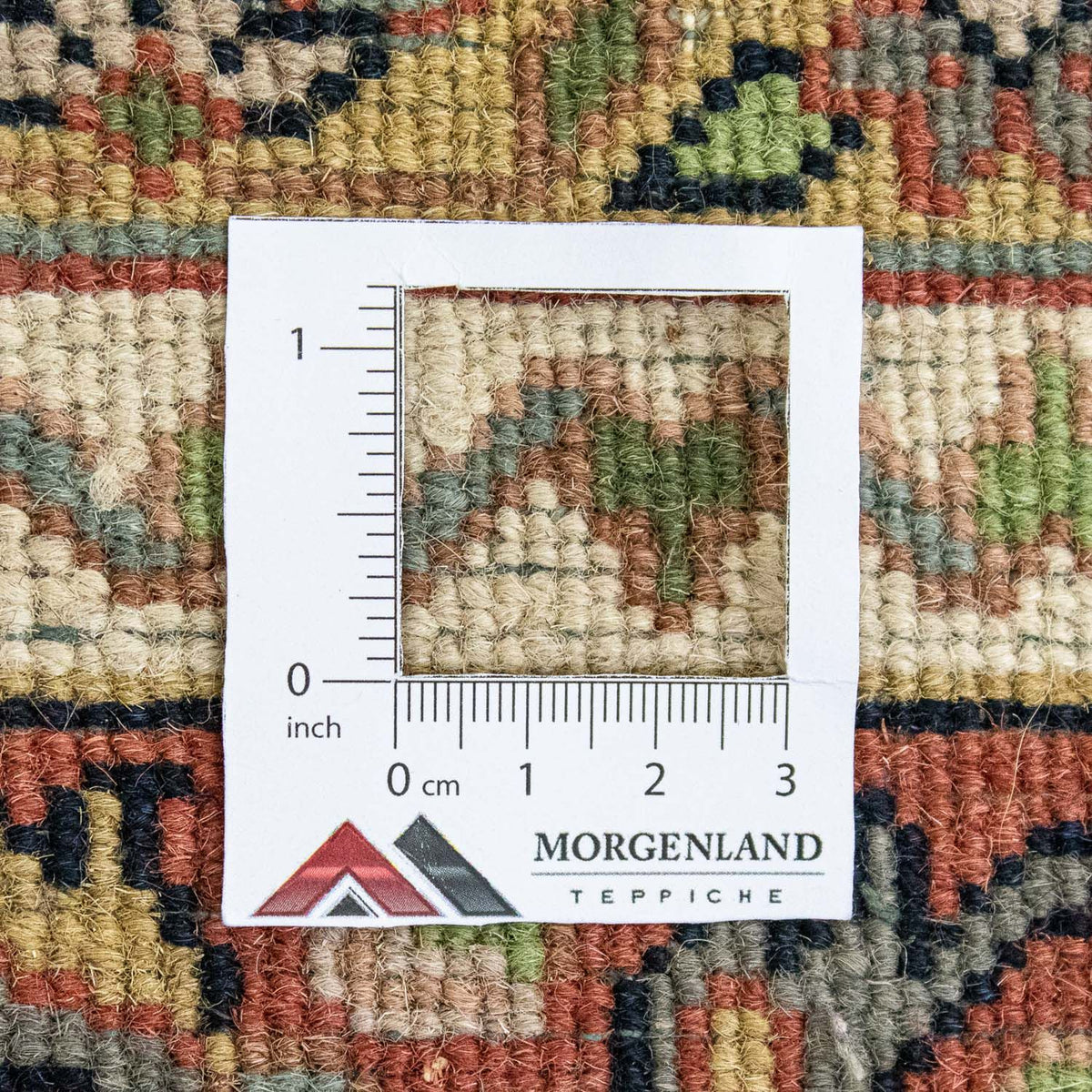 Oosters Tapijt - 240 x 169 cm - beige