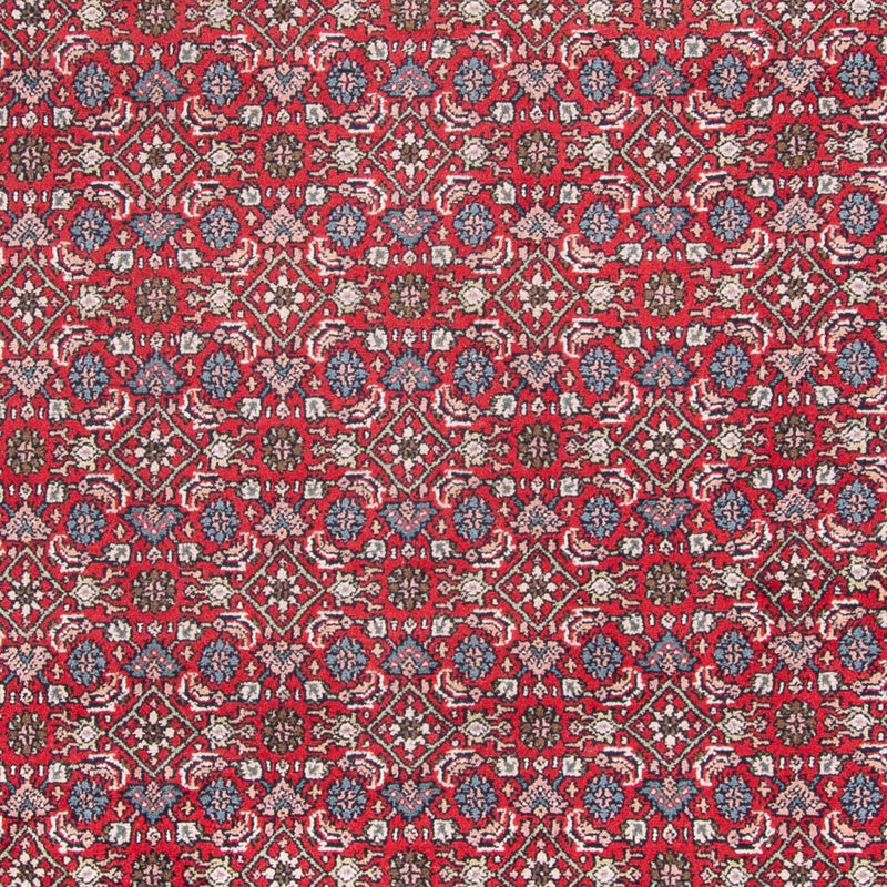 Oosters tapijt - Bijar - Indus - 353 x 253 cm - rood