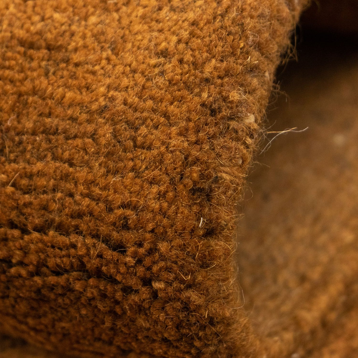 Nepal tapijt - 340 x 248 cm - bruin