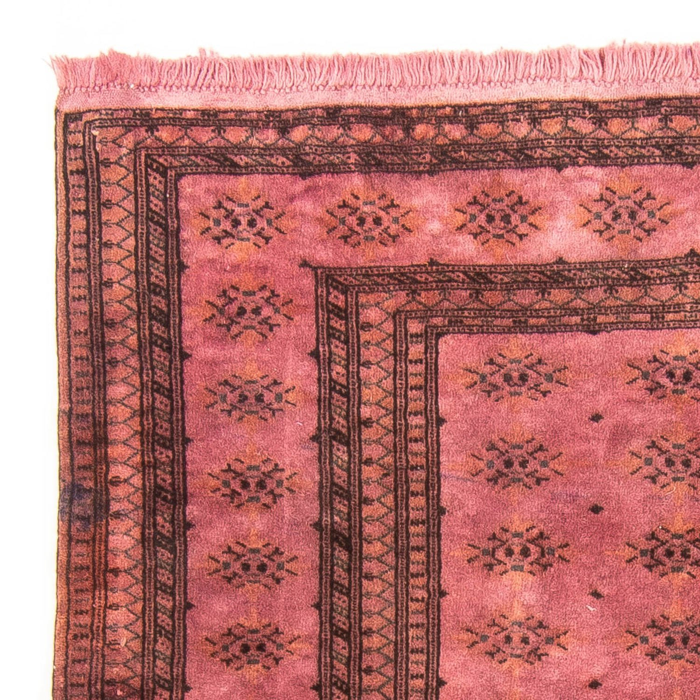 Pakistaans tapijt 165x131cm - Perzisch tapijt