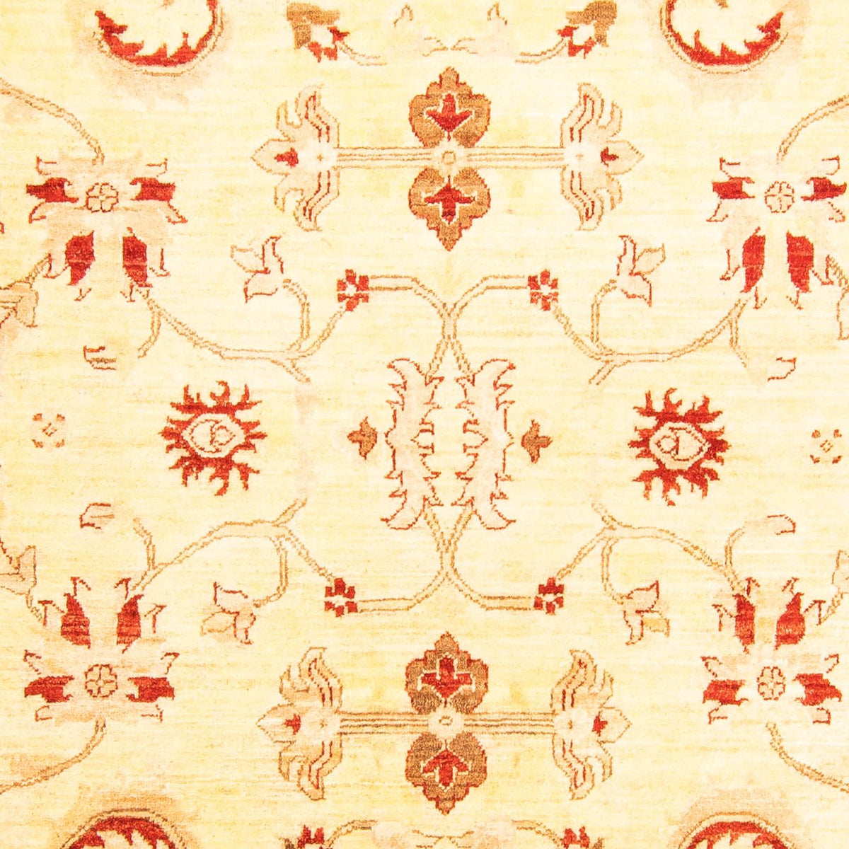 Ziegler tapijt - 286 x 207 cm - beige