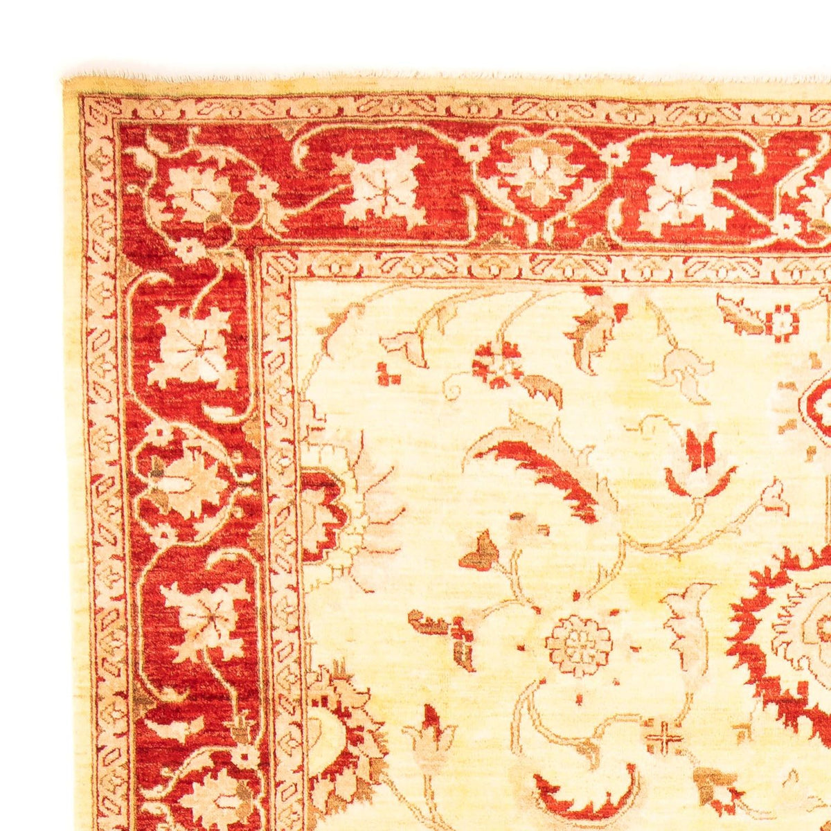 Ziegler tapijt - 286 x 207 cm - beige