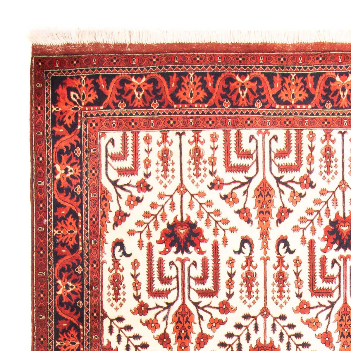 Afghaans tapijt - 270 x 186 cm - beige