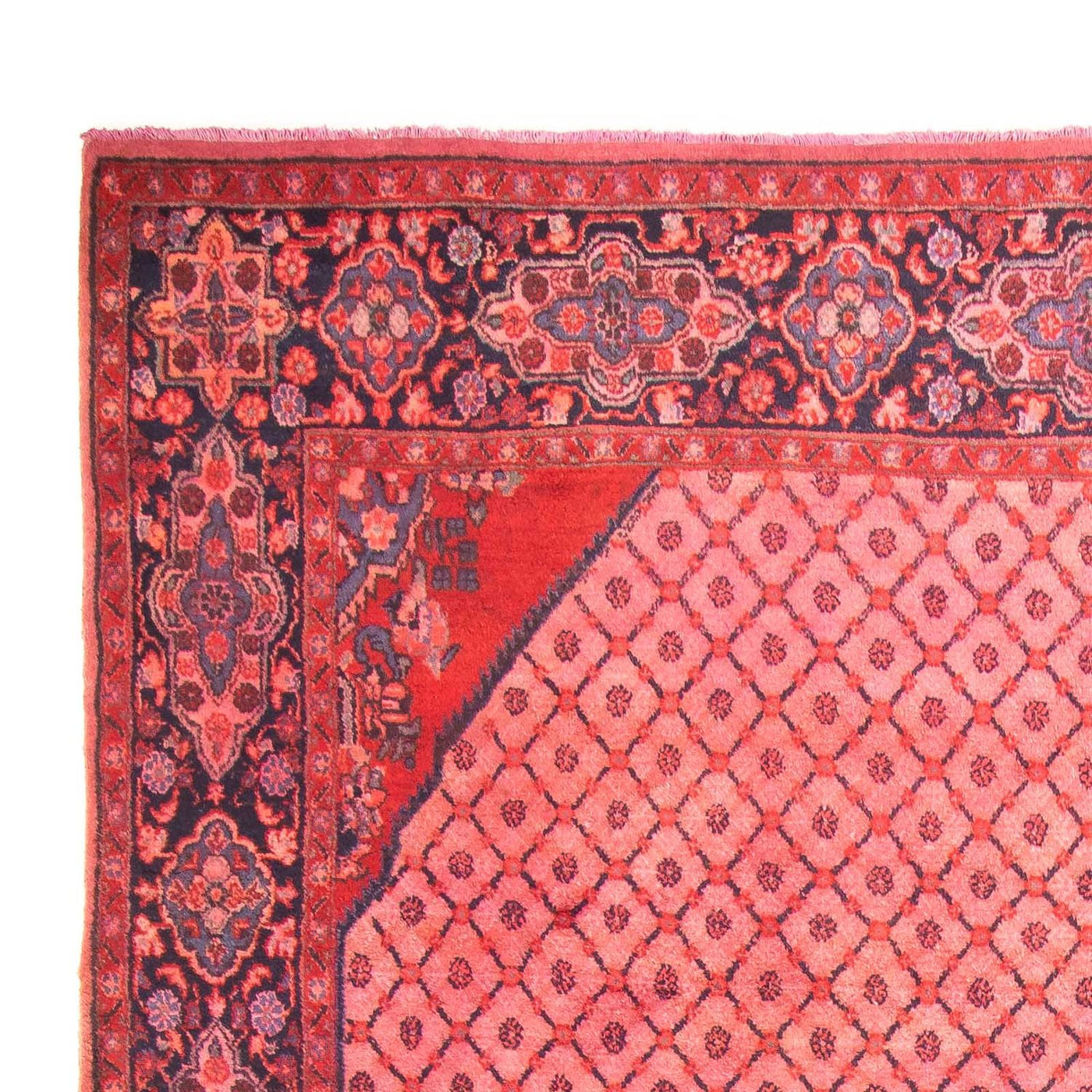 Kolyai Tapijt 290x210cm - Perzisch tapijt