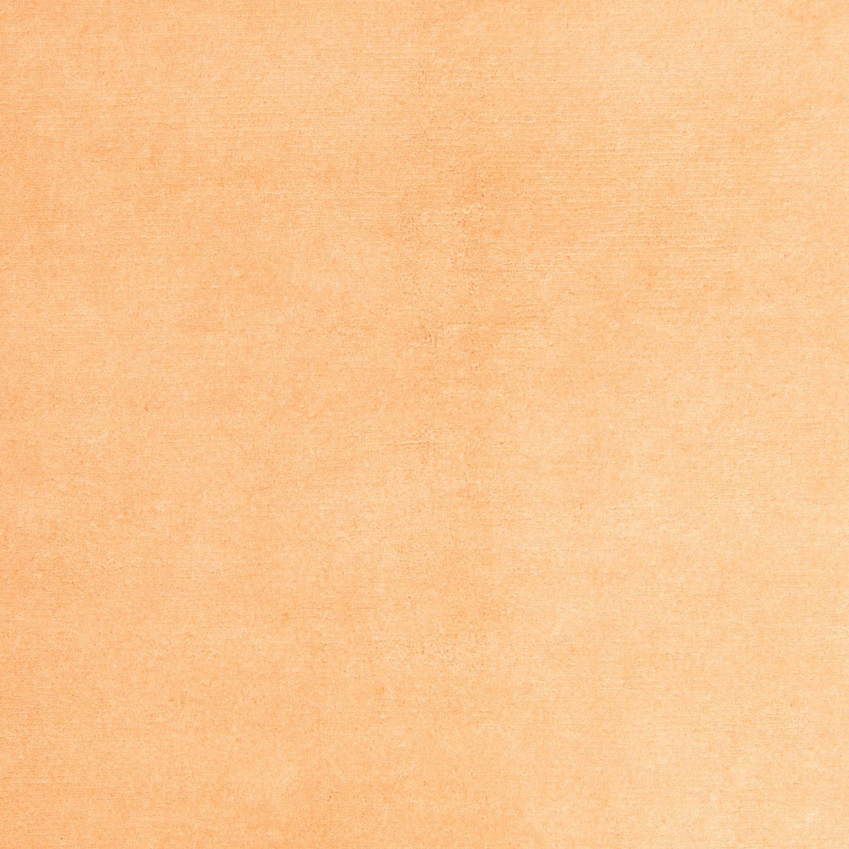 Nepal tapijt - 237 x 170 cm - beige