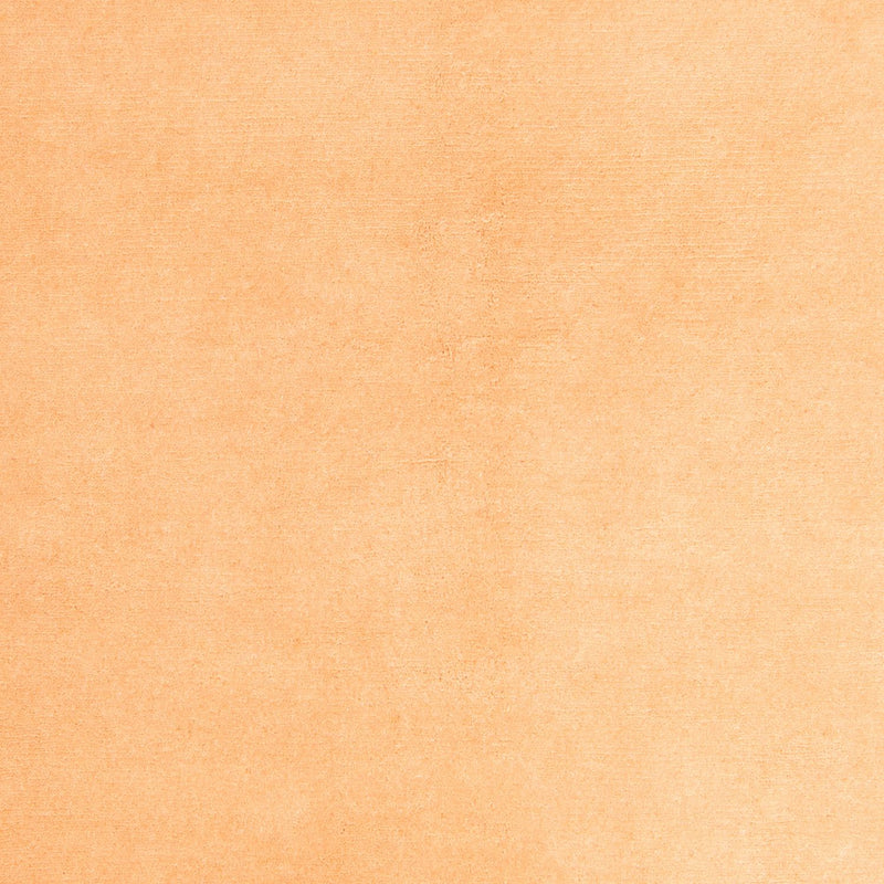 Nepal tapijt - 237 x 170 cm - beige