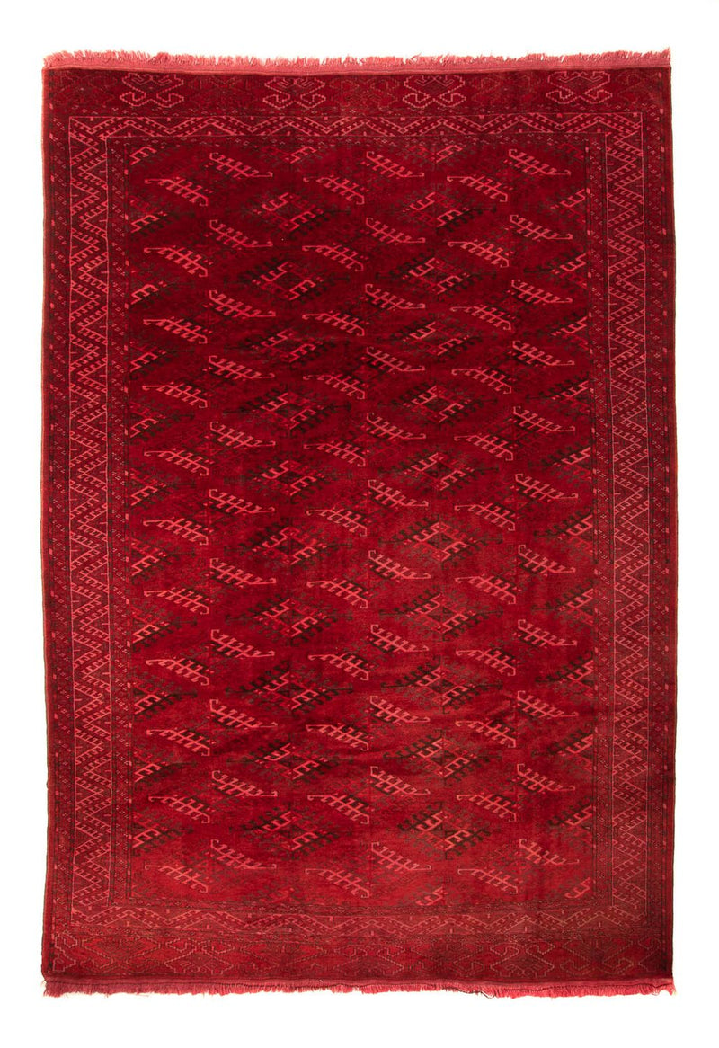 Afghaans tapijt - 323 x 279 cm - rood