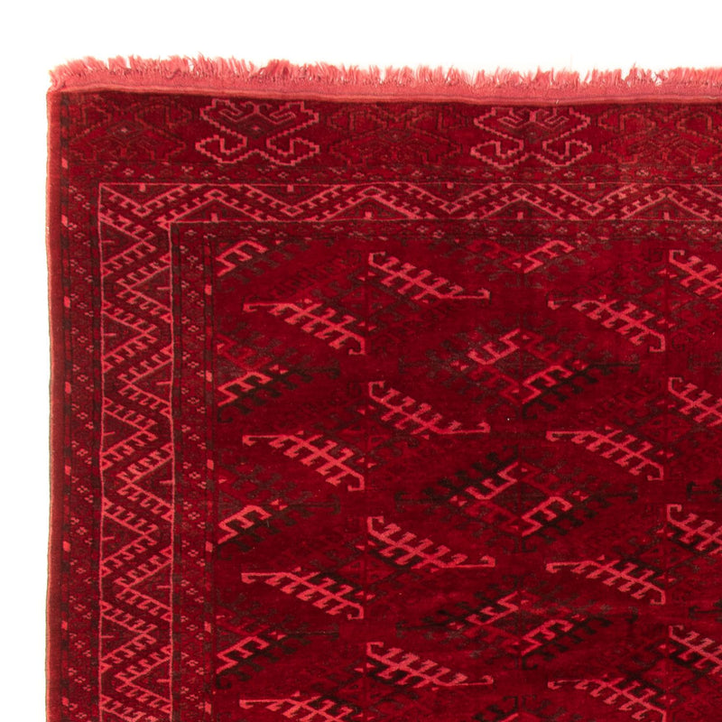 Afghaans tapijt - 323 x 279 cm - rood