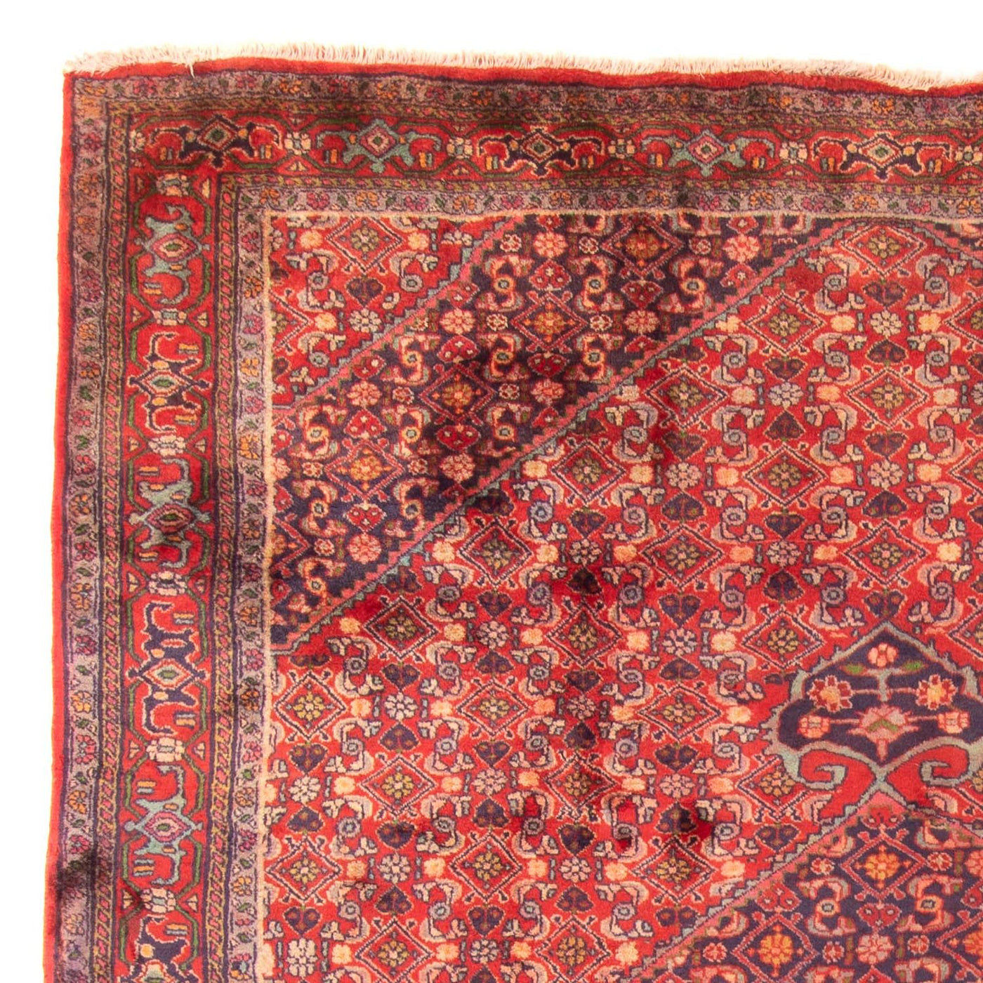 Ardabil Tapijt 290x203cm - Perzisch tapijt