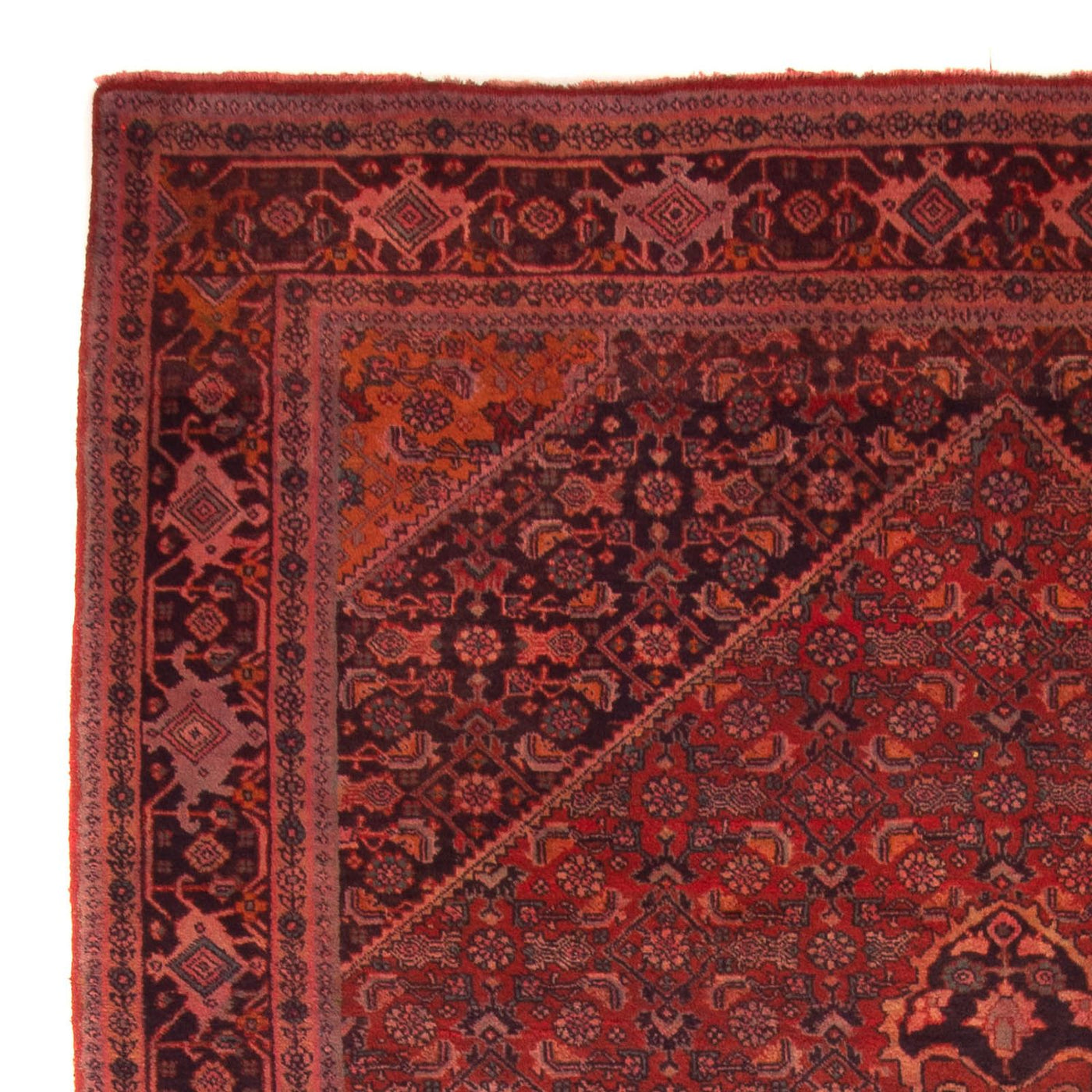 Bidjar - Takab Tapijt 327x220cm - Perzisch tapijt