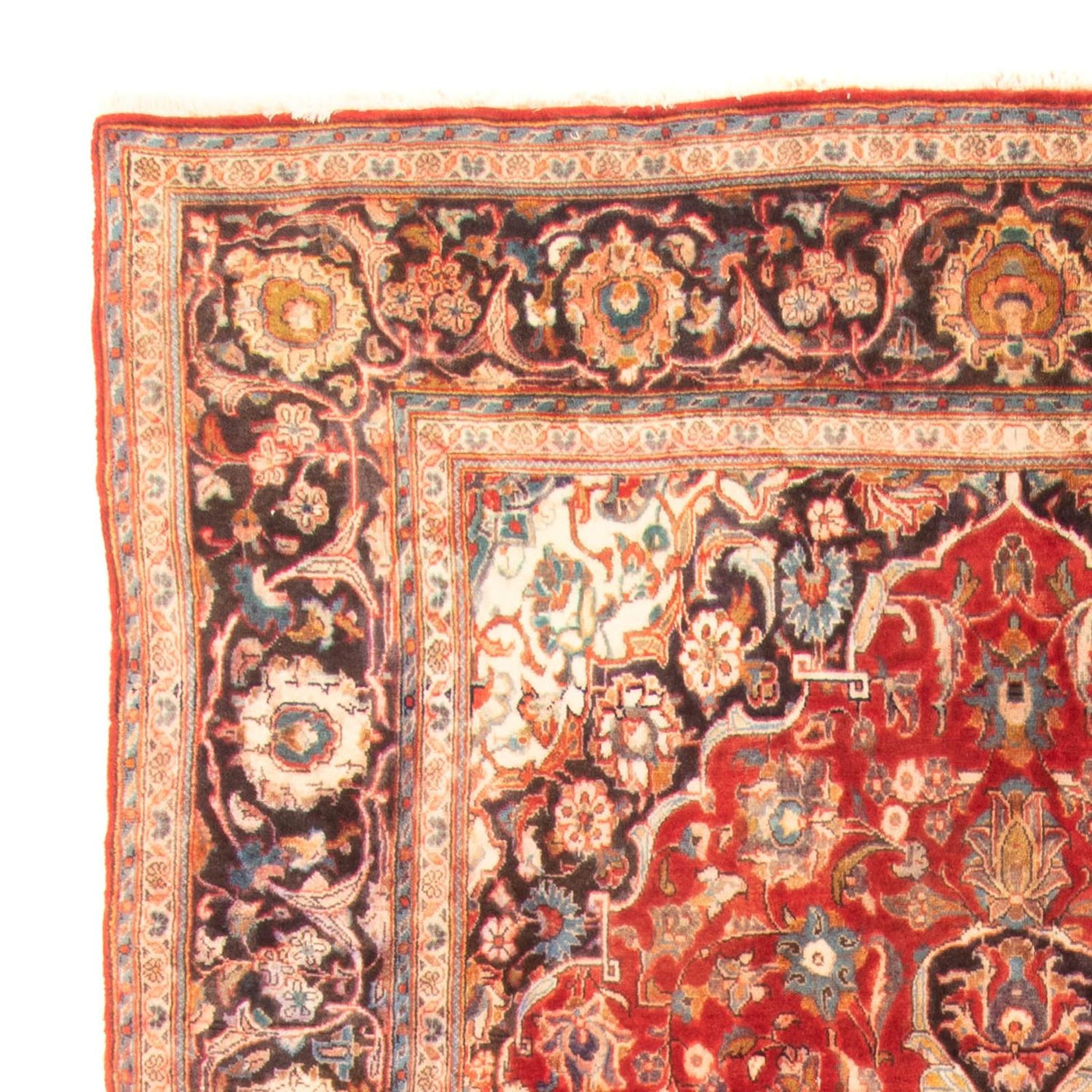 Kashan Tapijt 322x183cm - Perzisch tapijt