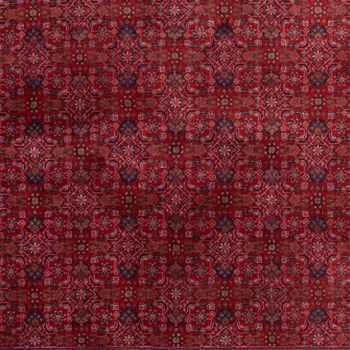 Oosters tapijt - Bijar - Indus - 300 x 200 cm - rood