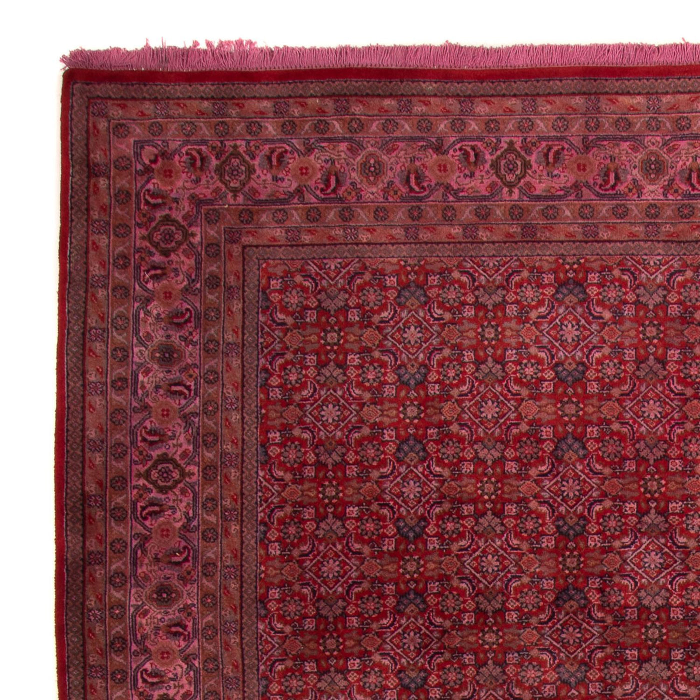Indo Bidjar Tapijt 300x200cm - Oosters Tapijt