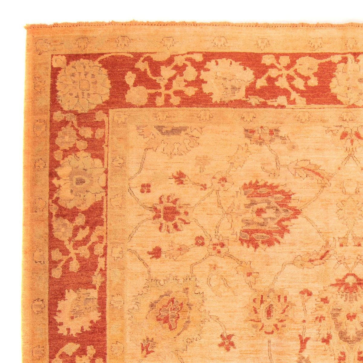 Ziegler tapijt - 300 x 200 cm - oranje