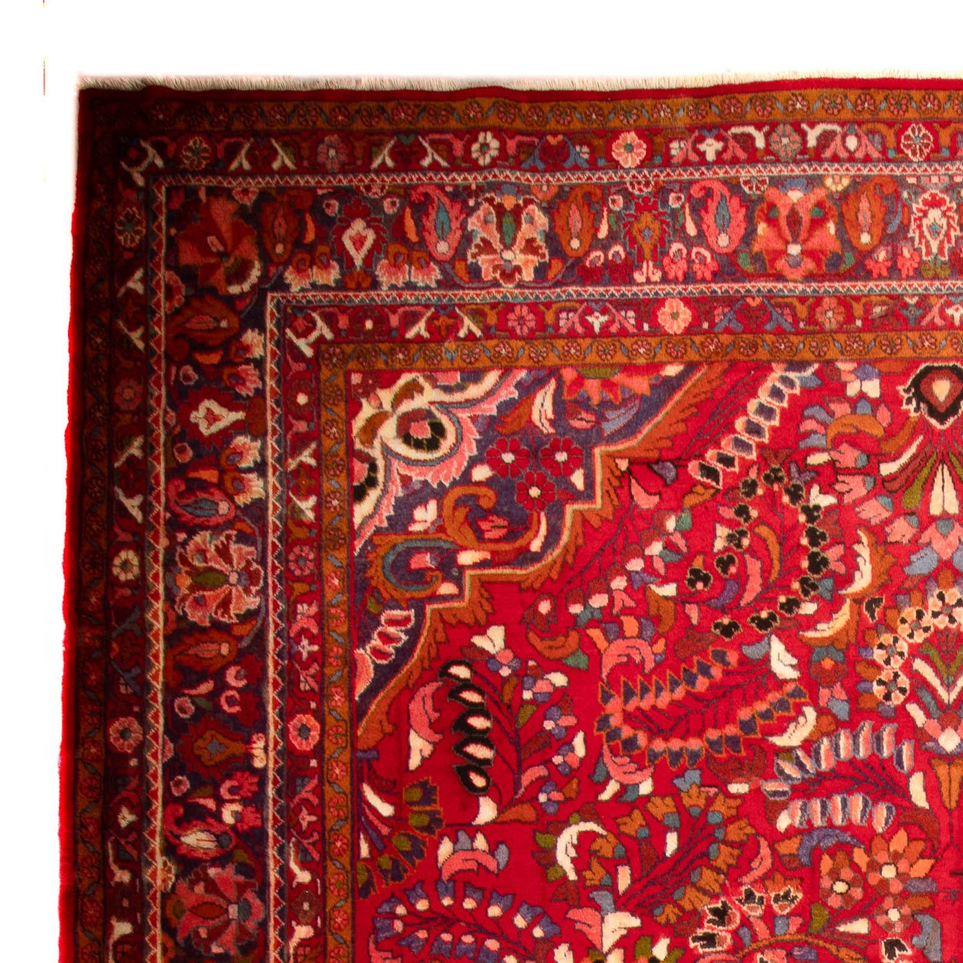 Lilian Tapijt 460x326cm - Perzisch tapijt