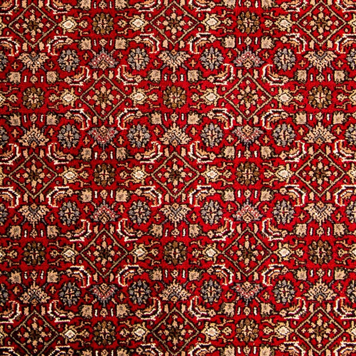 Oosters tapijt - Bijar - Indus - 300 x 200 cm - rood
