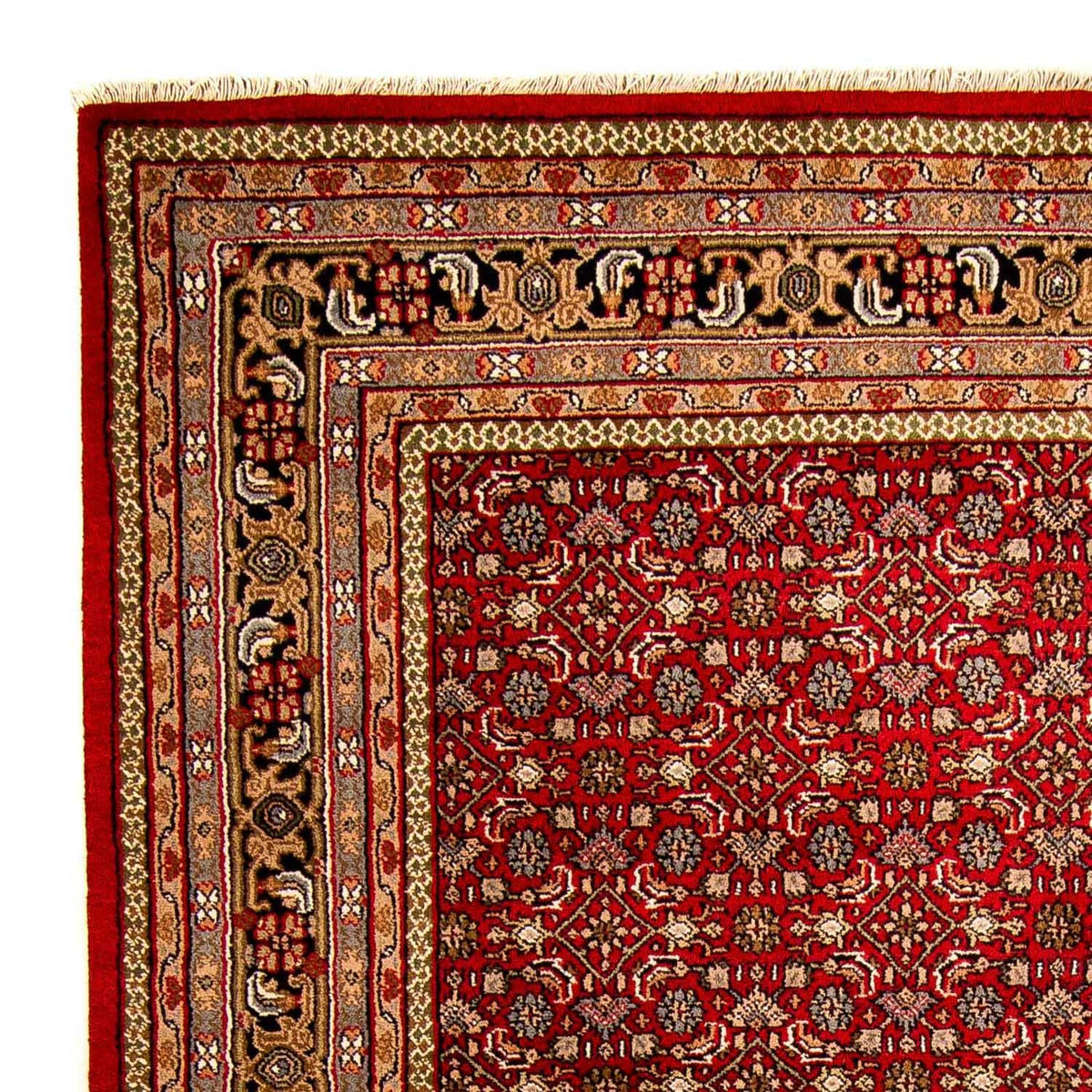 Oosters tapijt - Bijar - Indus - 300 x 200 cm - rood
