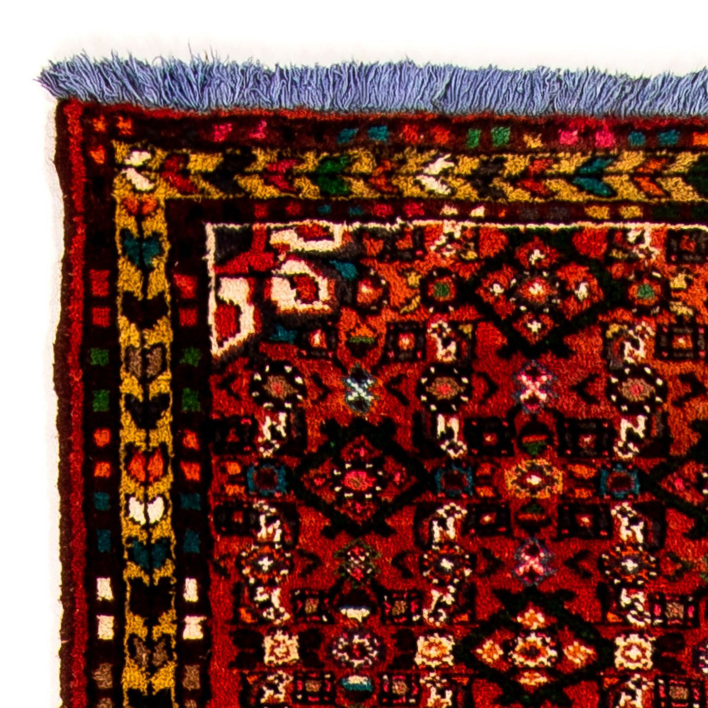 Hamadan Tapijt 320x70cm - Perzisch tapijt