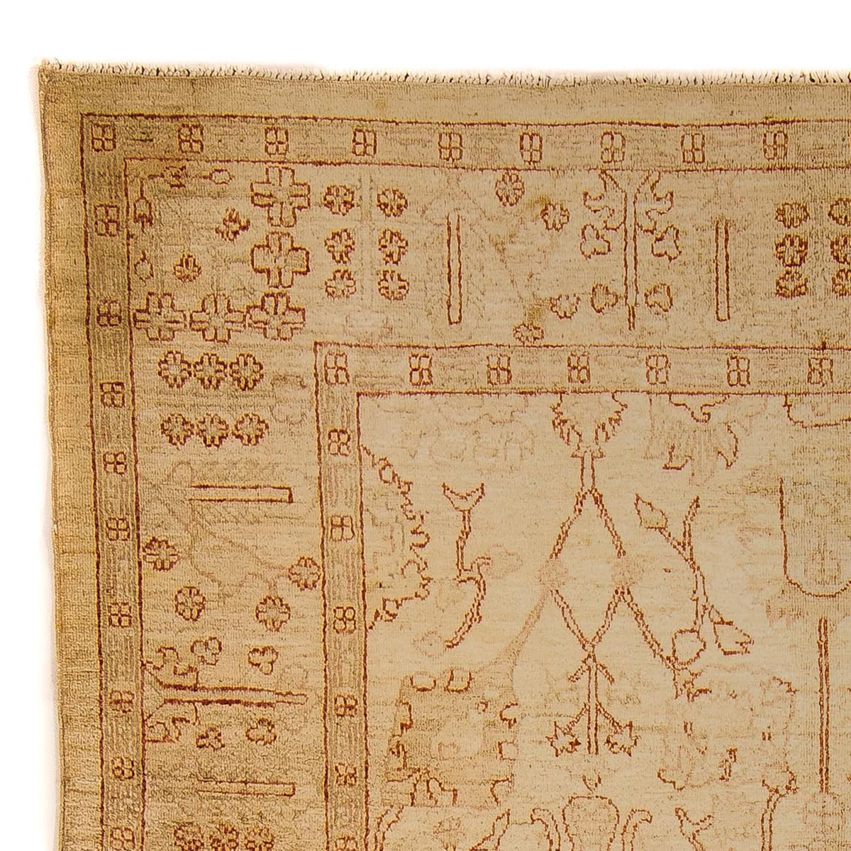 Ziegler tapijt - 247 x 173 cm - lichtbruin