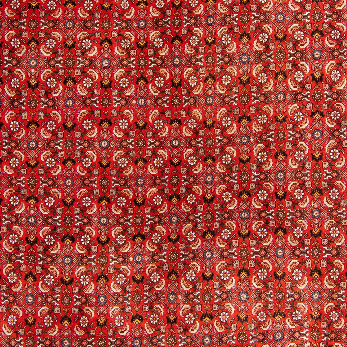Perzisch tapijt - Bijar - 300 x 204 cm - rood