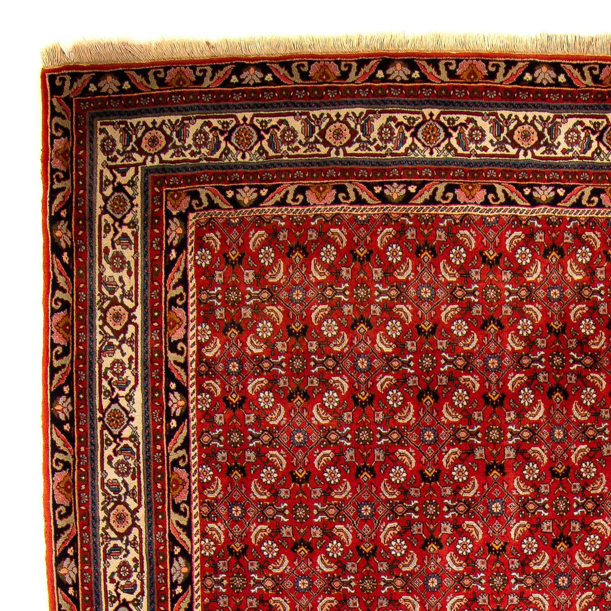 Perzisch tapijt - Bijar - 300 x 204 cm - rood