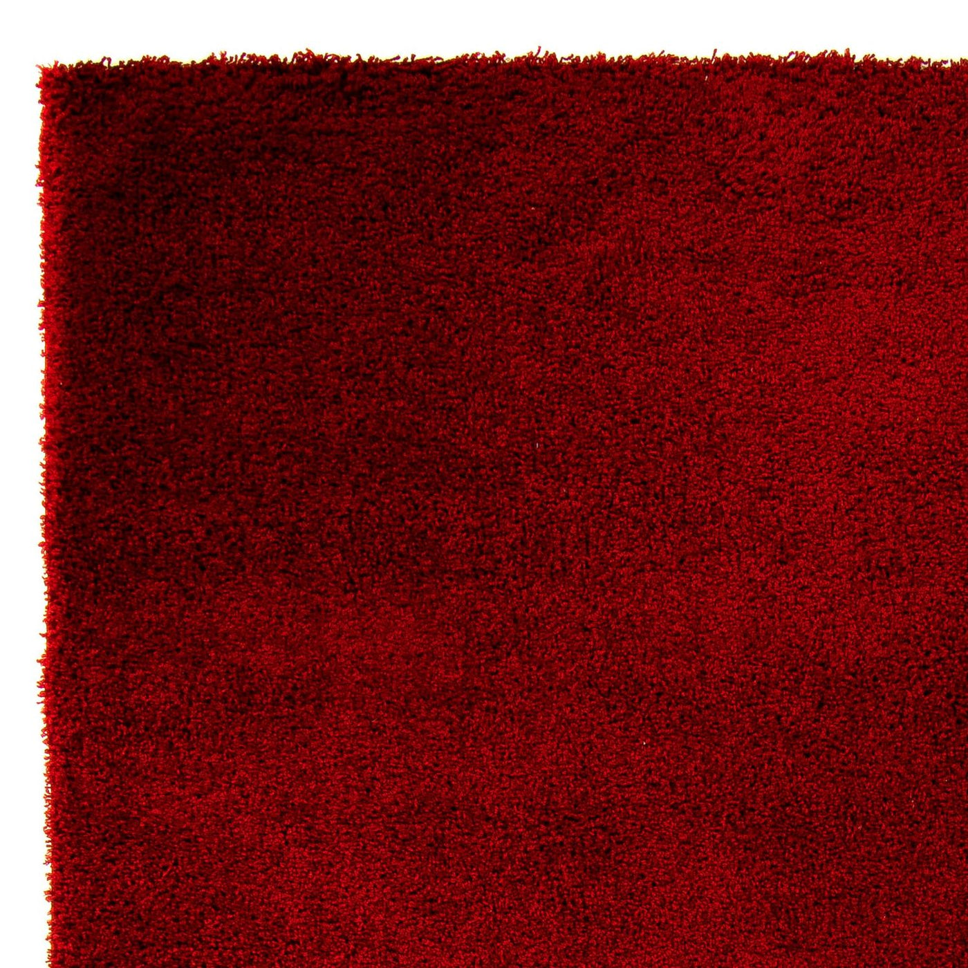 Shaggy Tapijt 290x200cm - Shaggy Teppich