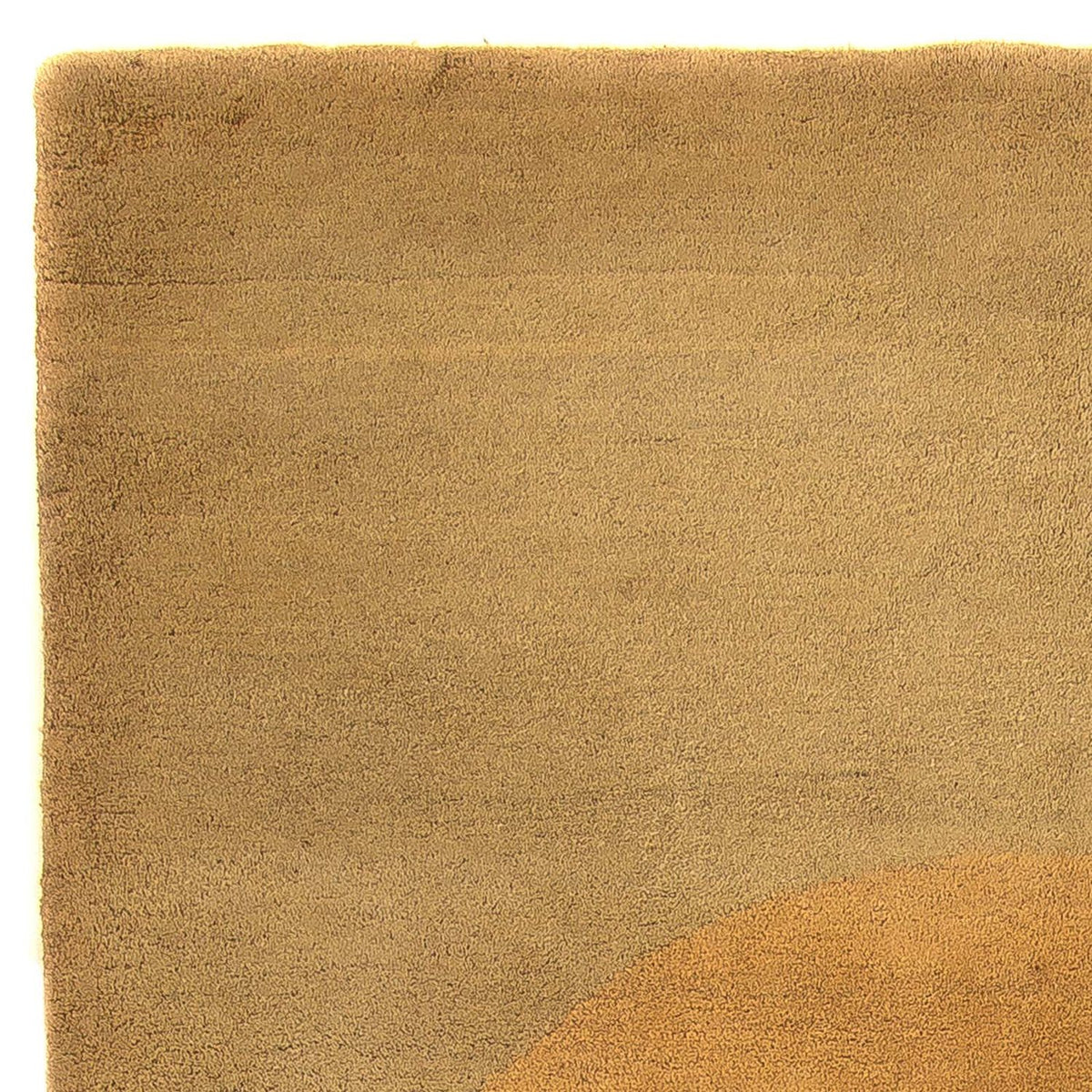 Wollen tapijt - 240 x 156 cm - veelkleurig