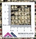 Oosters Tapijt - 160 x 90 cm - rood