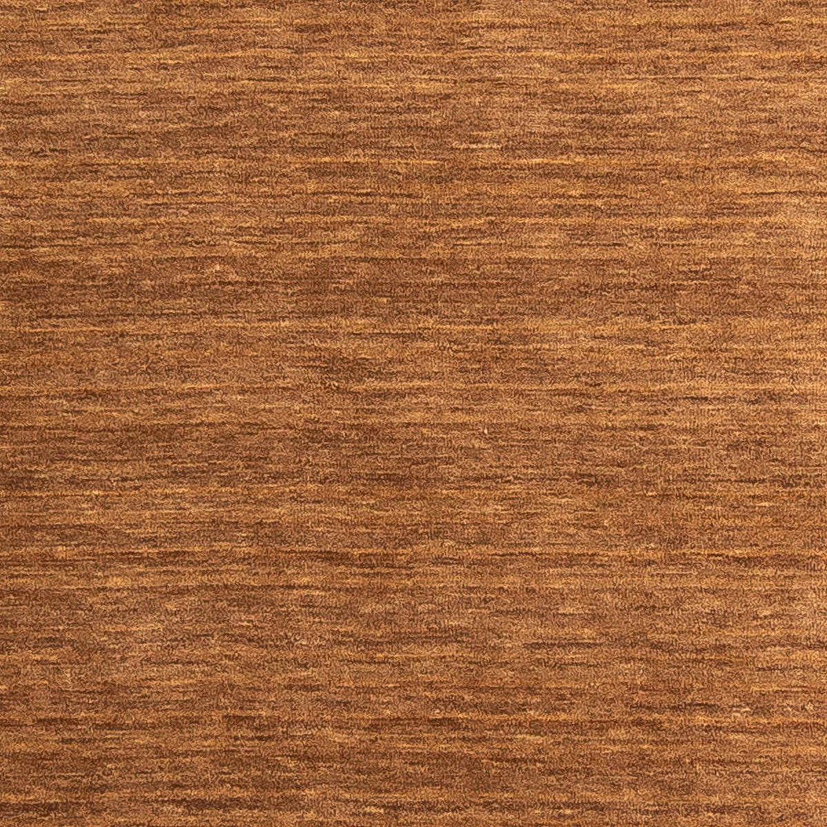 Gabbeh tapijt - Indus - 240 x 170 cm - veelkleurig