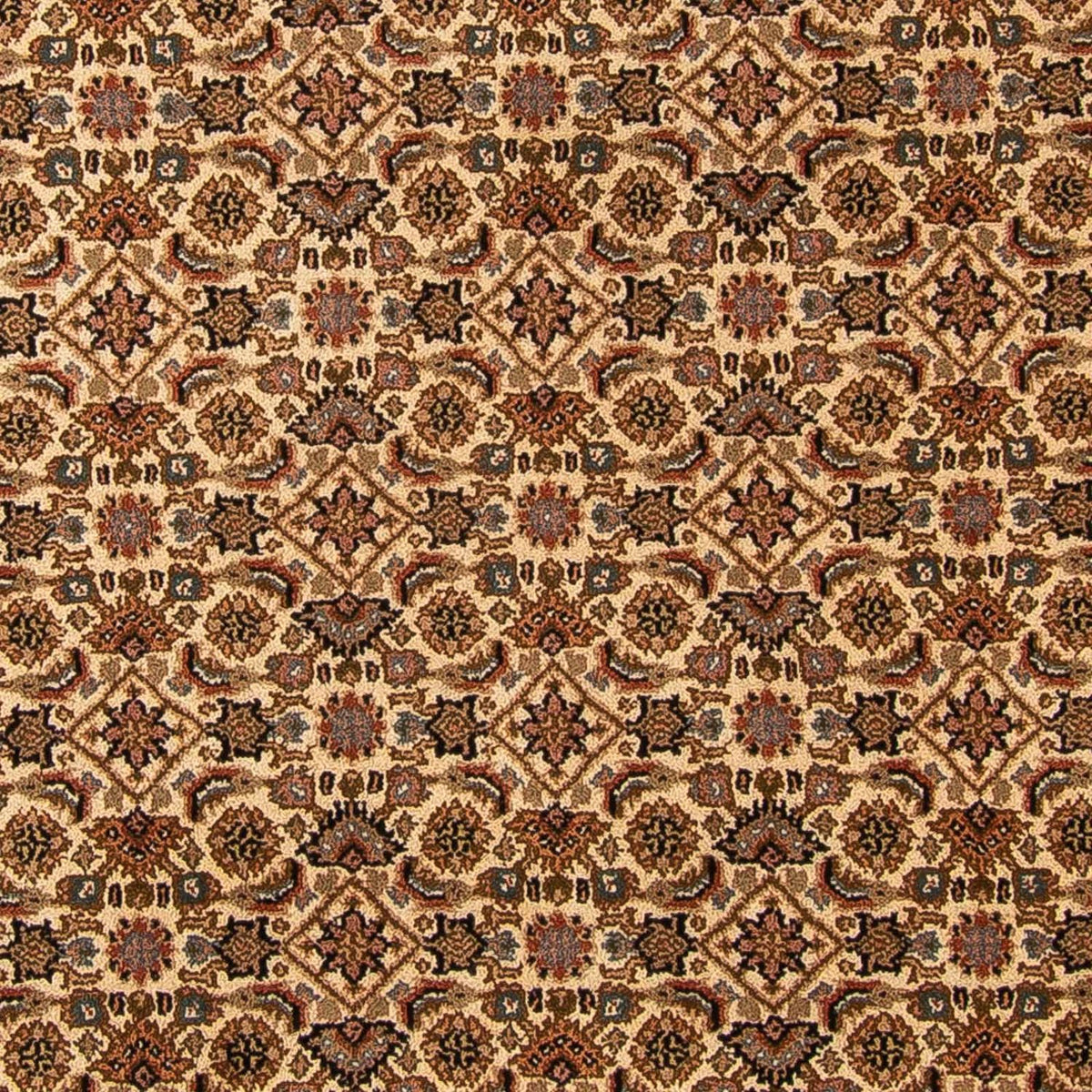 Oosters tapijt - Bijar - Indus - 309 x 250 cm - beige