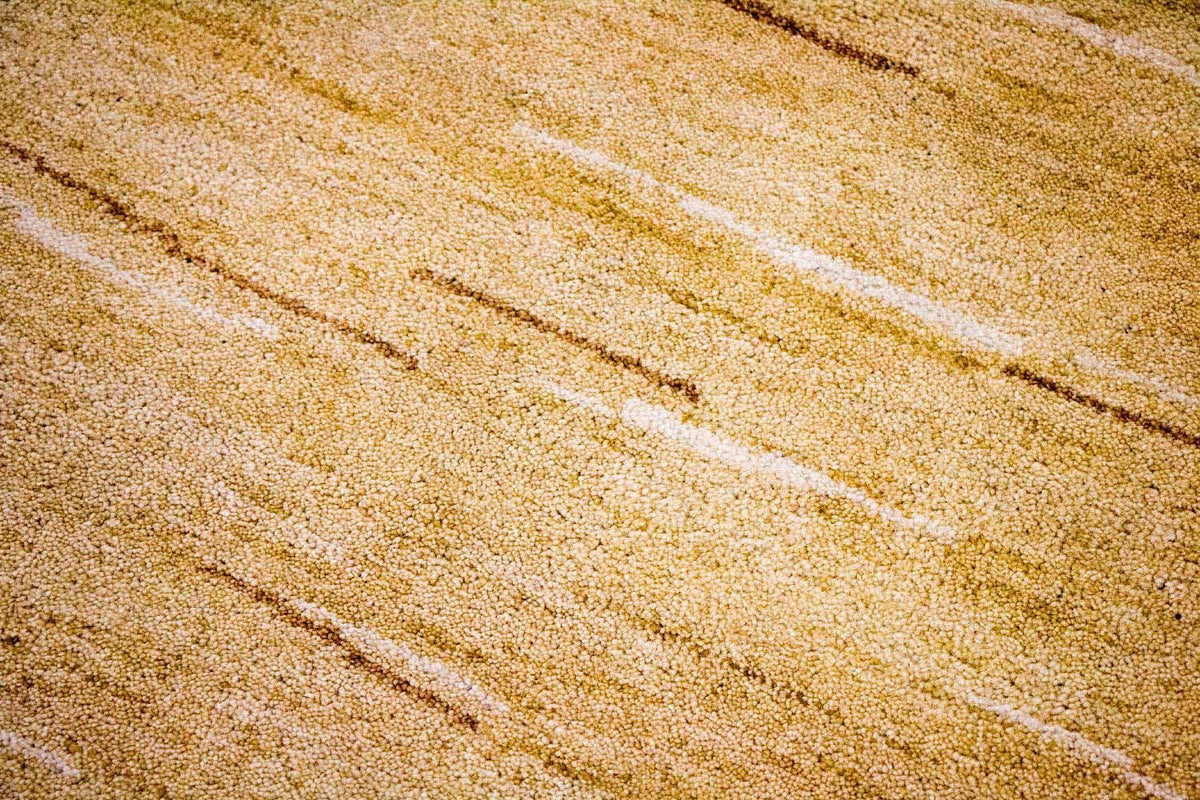 Gabbeh tapijt - Indus - 242 x 150 cm - veelkleurig