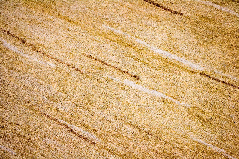 Gabbeh tapijt - Indus - 242 x 150 cm - veelkleurig