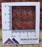 Nepal tapijt - 140 x 70 cm - veelkleurig